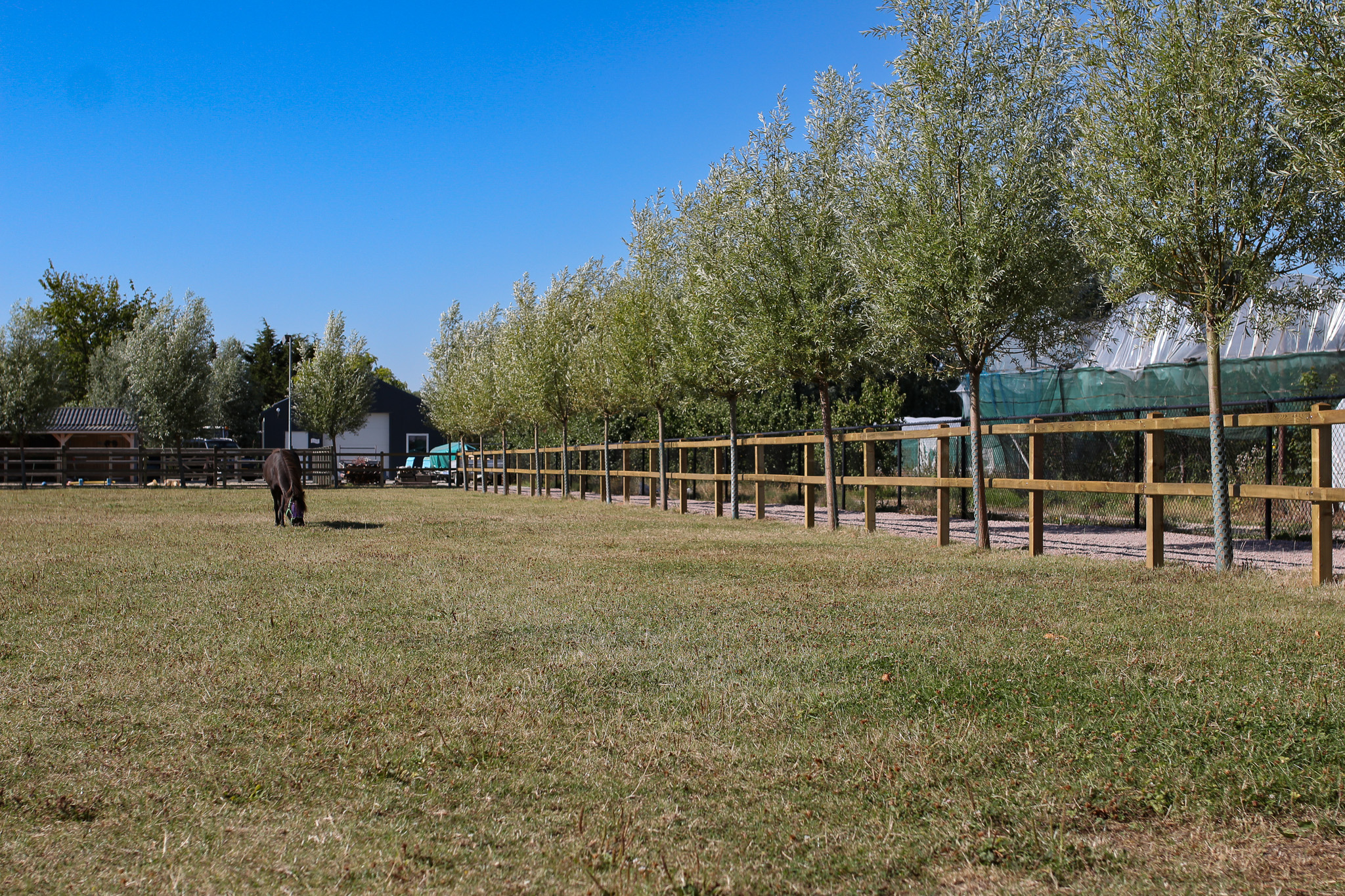 opschroefomheining paarden chevaldo omheiningen